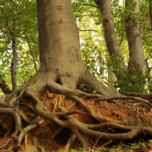 Eraclito sotto terra: il cambiamento come condizione del vivere
