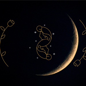 Luna Nuova in Gemelli: il seme della parola, il vento del cambiamento